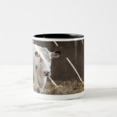 Milchkuh Zweifarbige Tasse (Mittel)