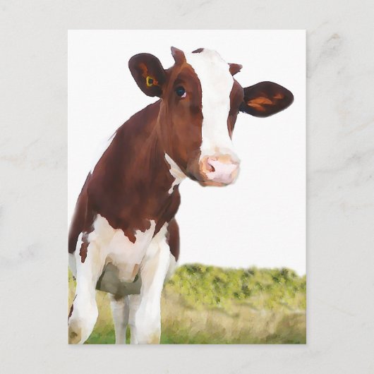 Milchkühe - braun gestrichen & weiß Holstein Postkarte (Vorderseite)