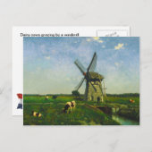 Milchkühe, die von einer Windmühle weiden Postkarte (Vorne/Hinten)