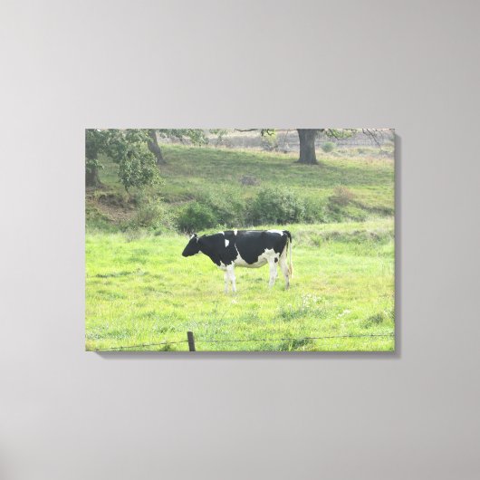 Milchkühe Foto Leinwand Kunst (Vorderseite)