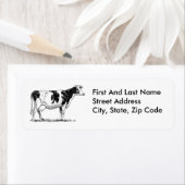 Milchkühe Holstein Fresian Pencil Zeichnend (Insitu)