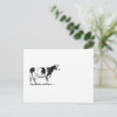 Milchkühe Holstein Fresian Pencil Zeichnend Postkarte (Stehend Vorderseite)
