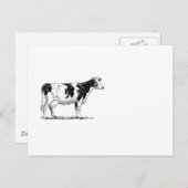 Milchkühe Holstein Fresian Pencil Zeichnend Postkarte (Vorne/Hinten)
