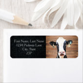 Milchkühe Holstein Niedliche landwirtschaftliche R (Insitu)