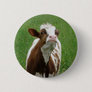 Milchkühe im Betrieb Button
