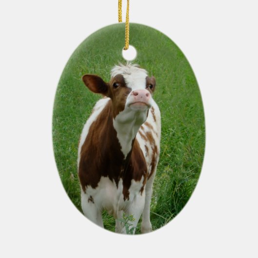 Milchkühe im Betrieb Keramikornament (Hinten)