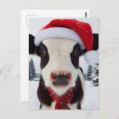 Milchkühe in einer Weihnachtsmannmütze Postkarte (Vorne/Hinten)