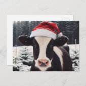 Milchkühe in einer Weihnachtsmannmütze Postkarte (Vorne/Hinten)