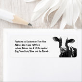 Milchkühe - Kalb aus schwarzen und weißen Milchsor (Insitu)