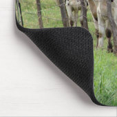 Milchkühe Mousepad (Ecke)