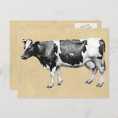 Milchkühe Postkarte (Vorne/Hinten)