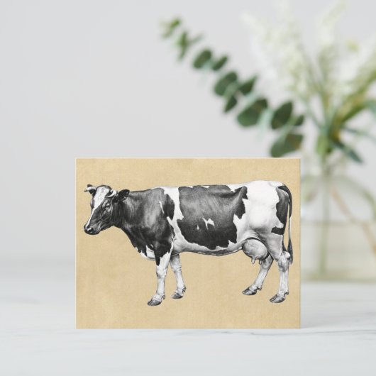 Milchkühe Postkarte (Stehend Vorderseite)