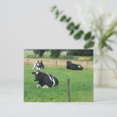 Milchkühe Postkarte (Stehend Vorderseite)