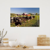 Milchkühe, Roter Stall und Berg Rainier Print Poster (Küche)