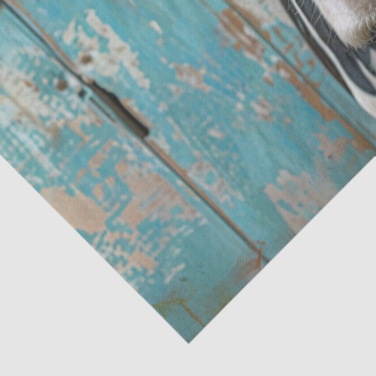 Milchkühe Rustikale blaue Wand Decoupage Seidenpapier (Detail)