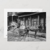 Milchlieferwagen, 1903 postkarte (Vorne/Hinten)