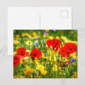 Milchprodukte und Pfefferkuchen Postkarte (Vorne/Hinten)