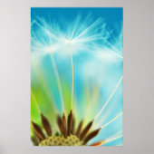 Milchrochen Poster (Vorne)