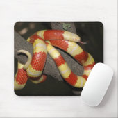 Milchschlange Mousepad (Mit Mouse)