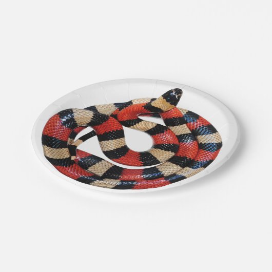 Milchschlange Pappteller (Schrägansicht)