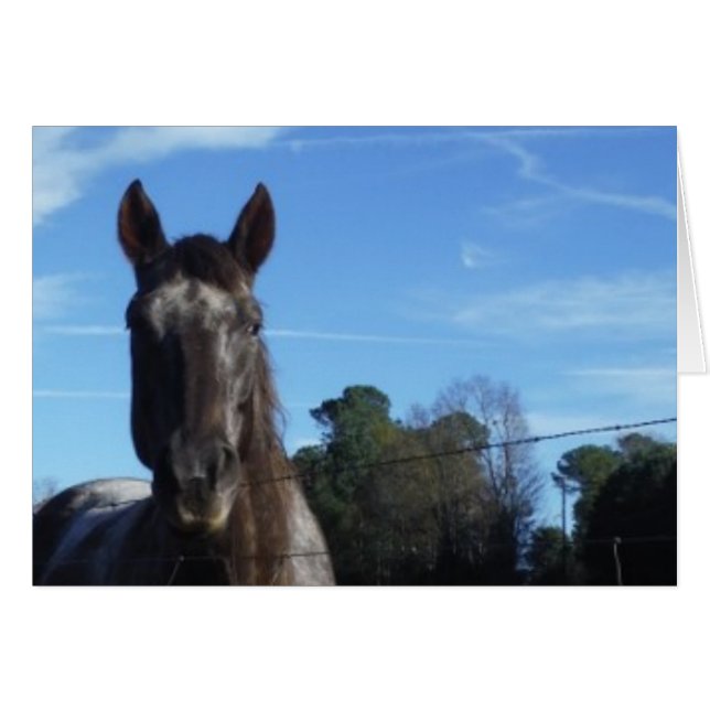 Milchschokolade Braunes Pferd in Blau (Vorderseite (Horizontal))