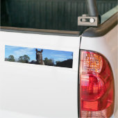 Milchschokolade Braunes Pferd in Blau Autoaufkleber (Auf Lkw)