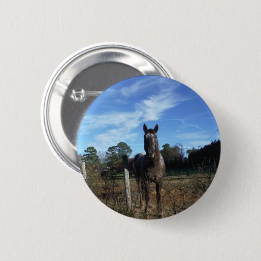 Milchschokolade Braunes Pferd in Blau Button (Vorne & Hinten)