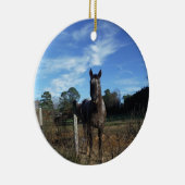 Milchschokolade Braunes Pferd in Blau Keramikornament (Rechts)