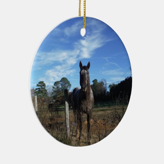 Milchschokolade Braunes Pferd in Blau Keramikornament (Rechts)