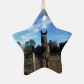 Milchschokolade Braunes Pferd in Blau Keramikornament (Rechts)