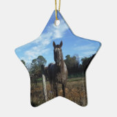 Milchschokolade Braunes Pferd in Blau Keramikornament (Links)