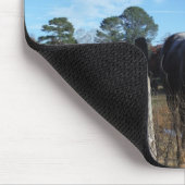 Milchschokolade Braunes Pferd in Blau Mousepad (Ecke)