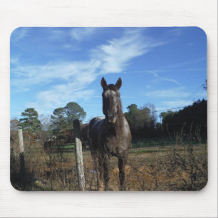 Milchschokolade Braunes Pferd in Blau Mousepad