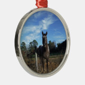 Milchschokolade Braunes Pferd in Blau Ornament Aus Metall (Rechts)