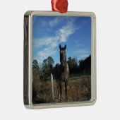 Milchschokolade Braunes Pferd in Blau Silbernes Ornament (Rechts)