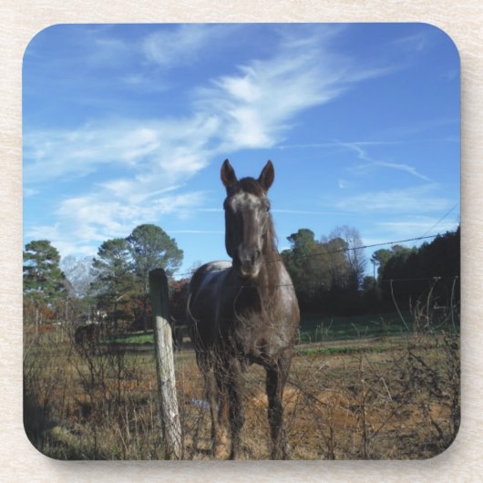 Milchschokolade Braunes Pferd in Blau Untersetzer (Vorderseite)