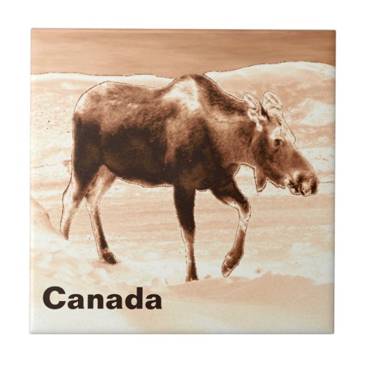 Milchschokolade Elch Fliese (Vorderseite)