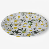 Milchsektor Pappteller (Schrägansicht)