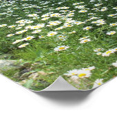 Milchsektor Poster (Ecke)