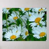 Milchsektor Poster (Vorne)