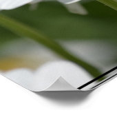 Milchsektor Poster (Ecke)