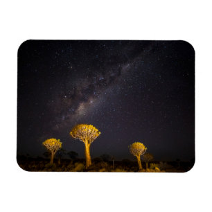 Milchstraße Quiver Tree Keetmanshoop Namibia Magnet