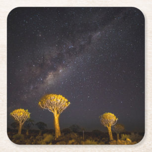 Milchstraße - Quiver Tree   Keetmanshoop Namibia Rechteckiger Pappuntersetzer