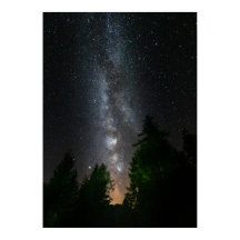 Milchstraße über Fichtenwald