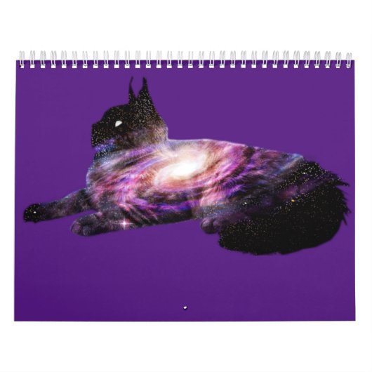 Milchstraßengalaxie Weltraumkatze Kalender (Titelbild)