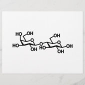 Milchstruktur von Lactose Flyer (Vorne)