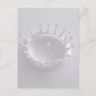 Milchtrocknung Postkarte