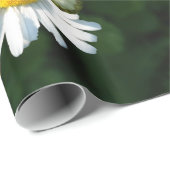 Milchumschlagpapier Geschenkpapier (Rolleneckpunkt)