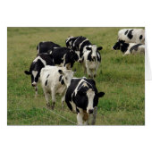 Milchviehweiden Jeden Anlaß Leere Gruß (Vorderseite (Horizontal))