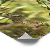 Milchweed-Fotoplakat Poster (Ecke)